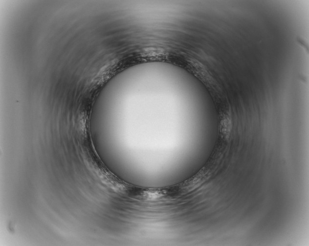 X0000099560662200805301542