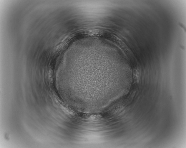 X0000099560663200805301542