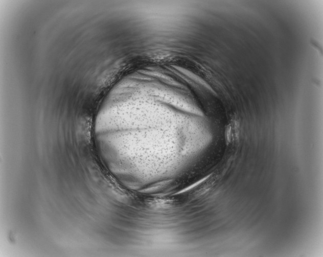 X0000099560664200805301542