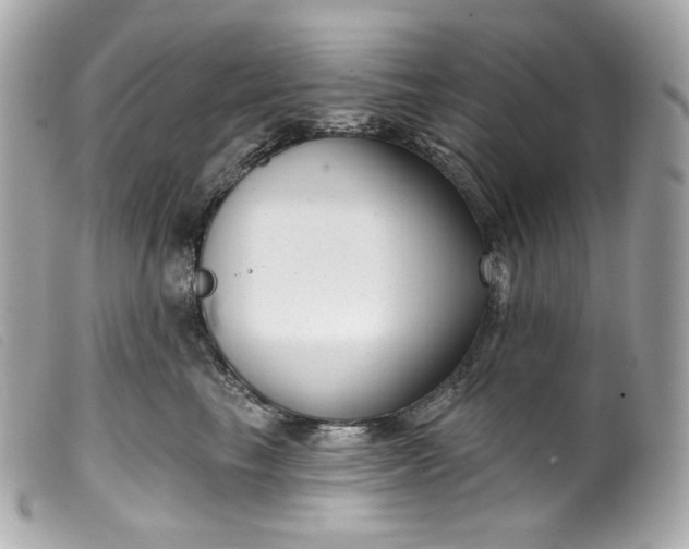 X0000099560665200805301542