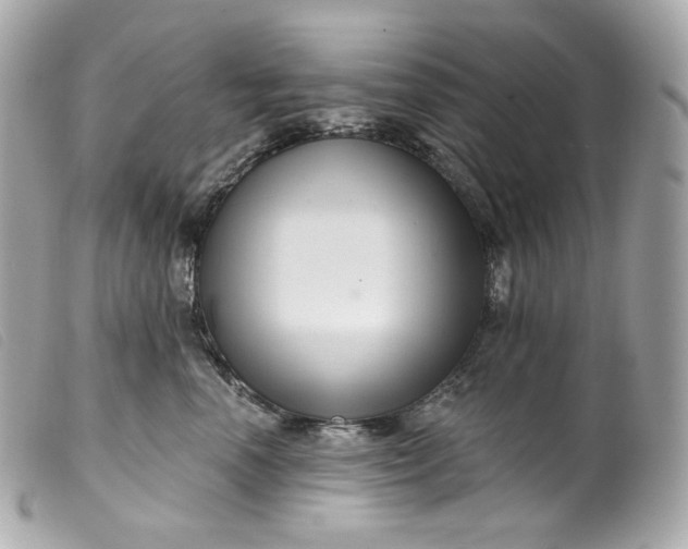 X0000099560666200805301542