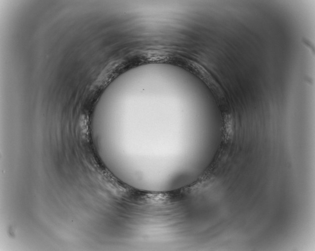 X0000099560667200805301542