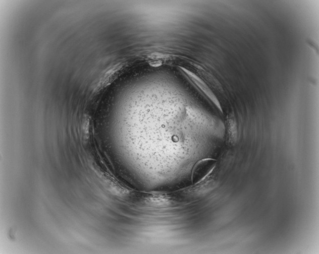 X0000099560668200805301542