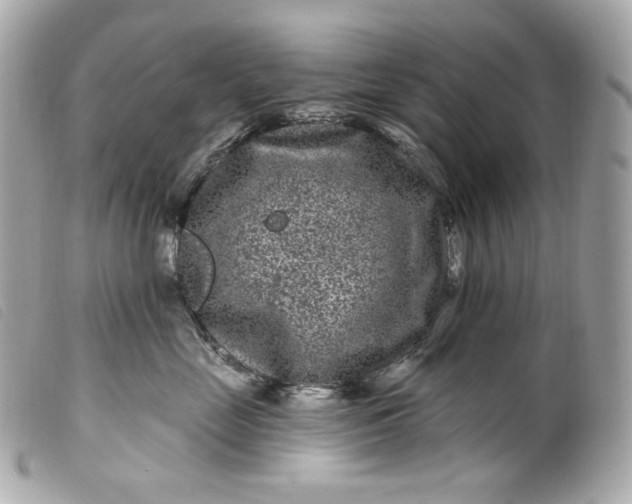 X0000099560669200805301542