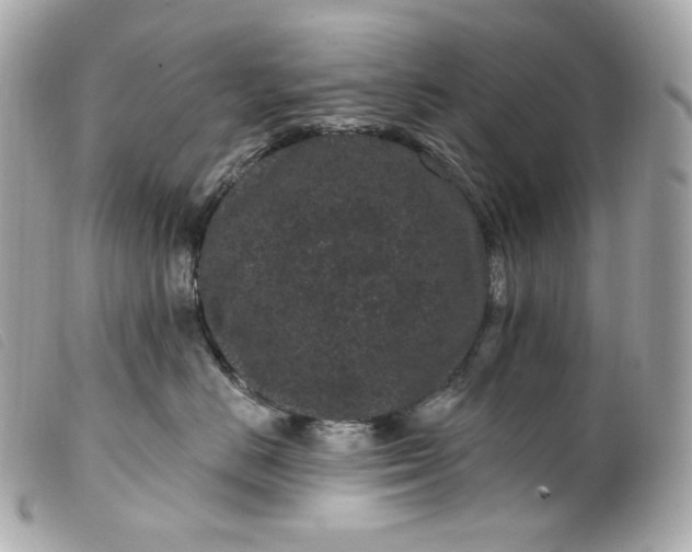 X0000099560670200805301542