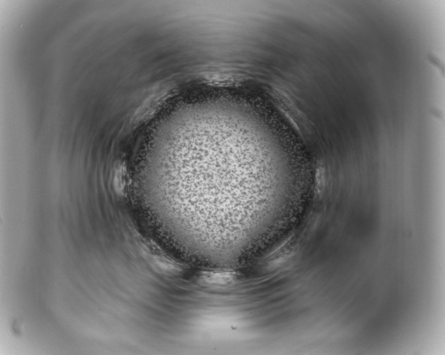 X0000099560671200805301542