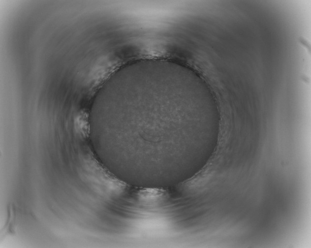 X0000099560672200805301542