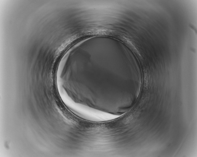 X0000099560674200805301542