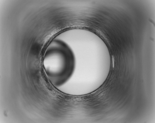 X0000099560675200805301542