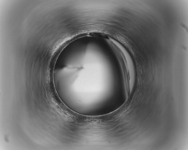 X0000099560676200805301542