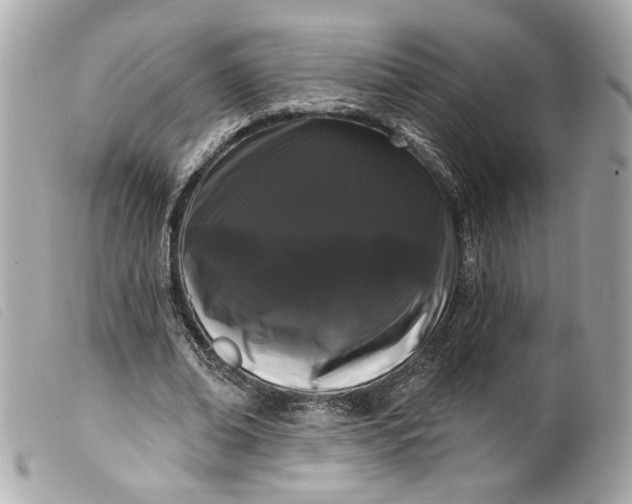 X0000099560678200805301542