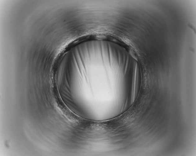 X0000099560680200805301542