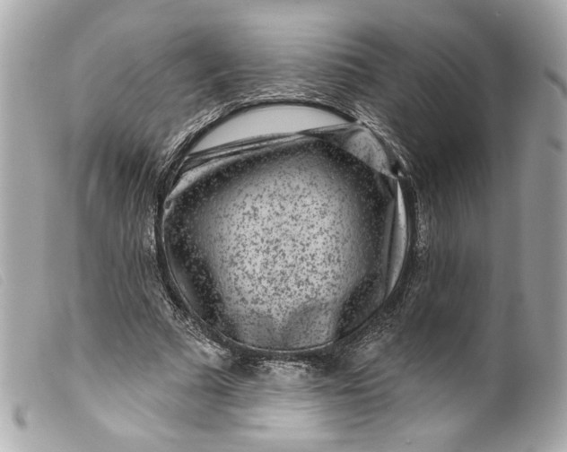 X0000099560681200805301542