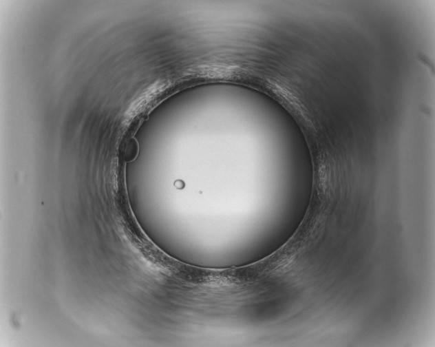 X0000099560682200805301542