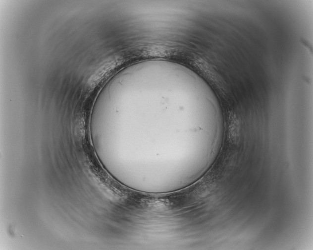 X0000099560683200805301542