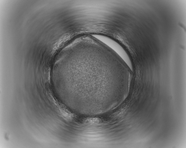 X0000099560685200805301542