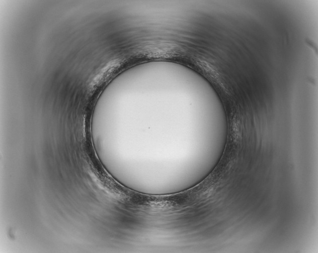 X0000099560686200805301542