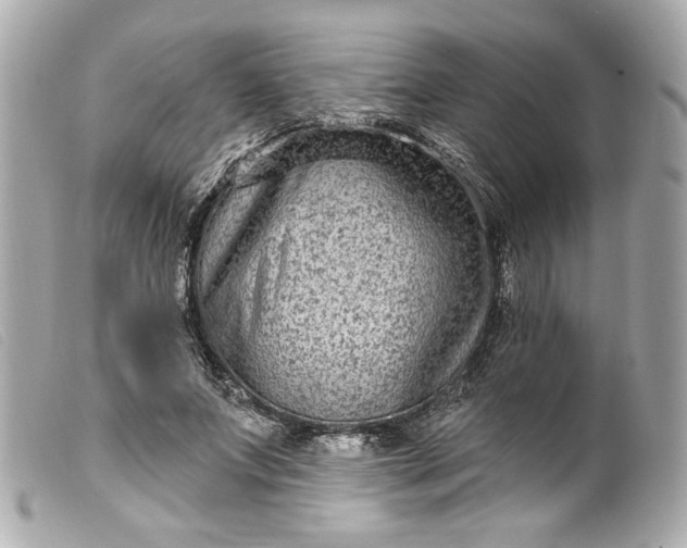 X0000099560687200805301542