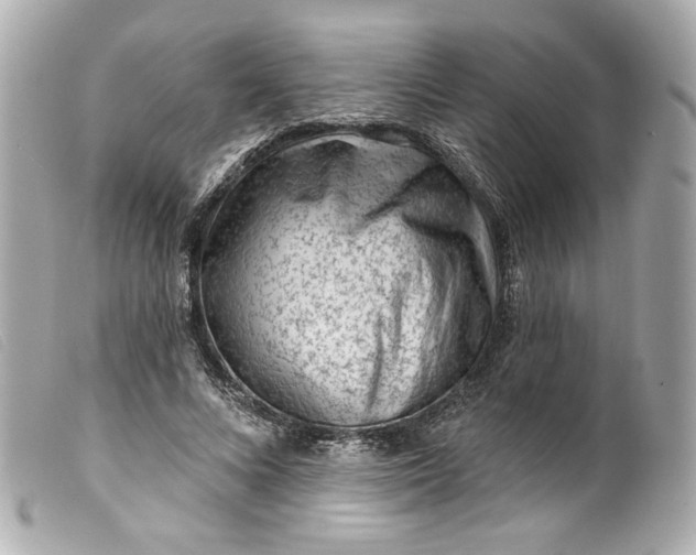 X0000099560688200805301542