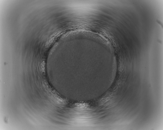 X0000099560689200805301542