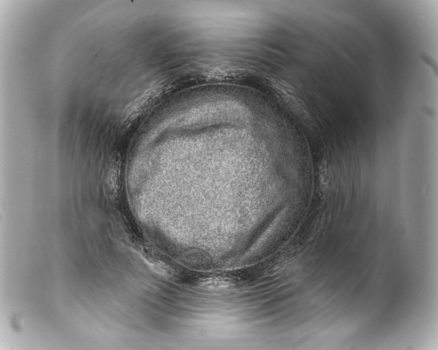 X0000099560691200805301542