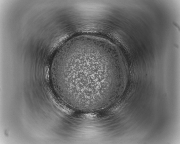 X0000099560692200805301542