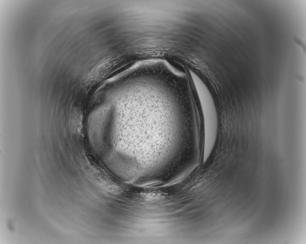 X0000099560693200805301542