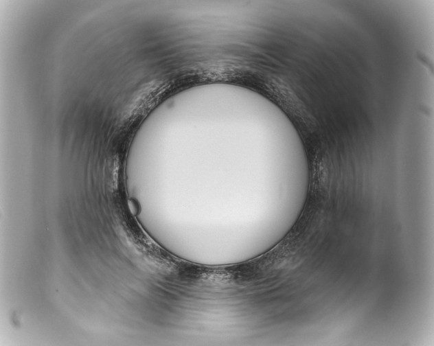 X0000099560694200805301542