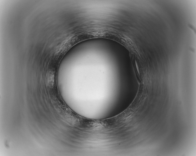 X0000099560697200805301541