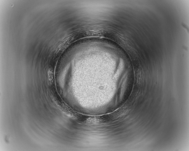 X0000099560699200805301541