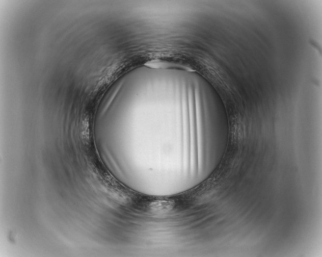 X0000099560700200805301541