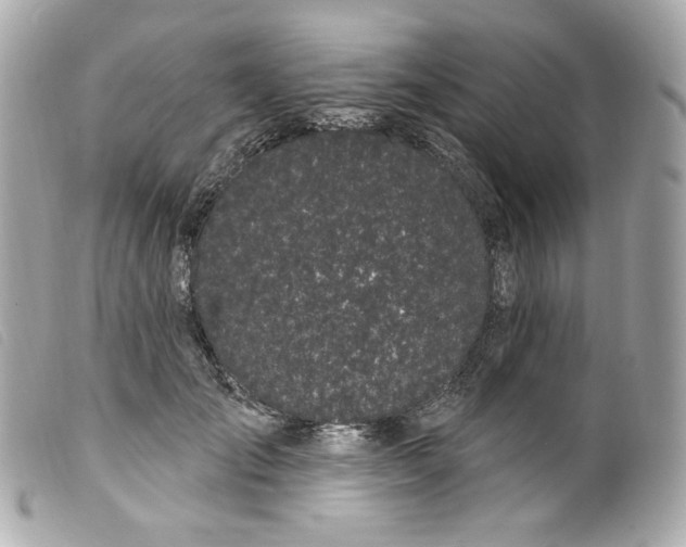 X0000099560701200805301541