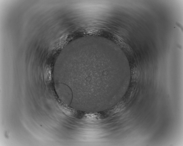 X0000099560703200805301541