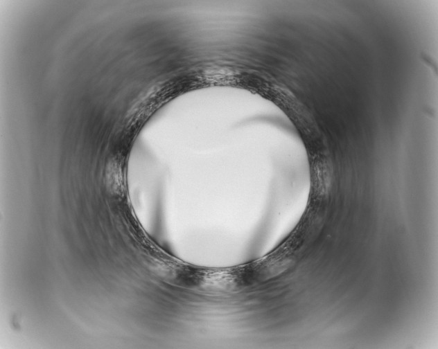 X0000099560705200805301541