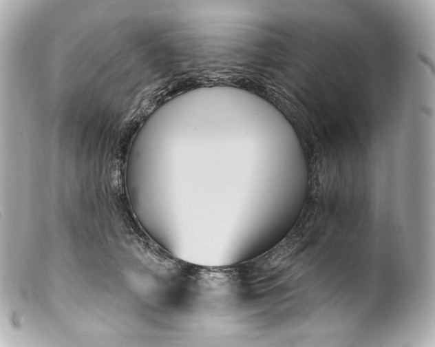 X0000099560706200805301541