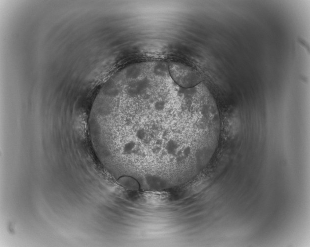 X0000099560707200805301541