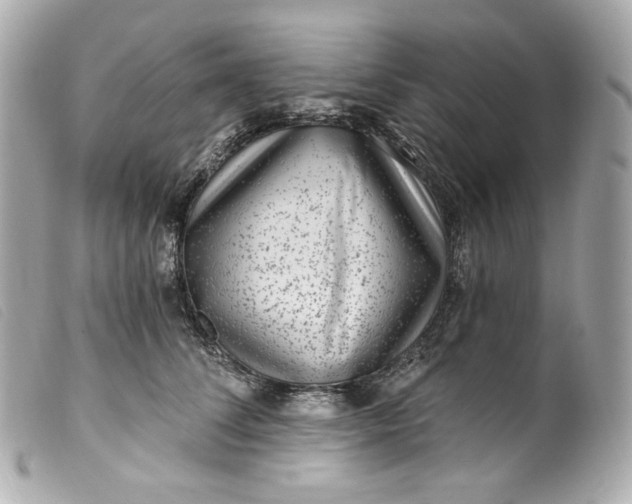 X0000099560708200805301541