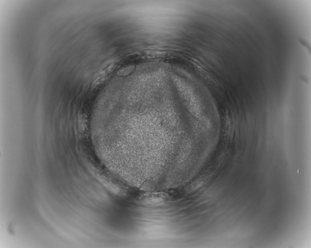 X0000099560711200805301541