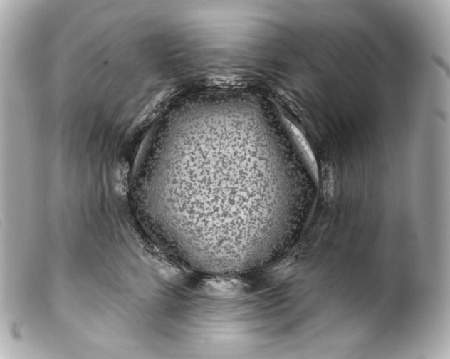 X0000099560712200805301541