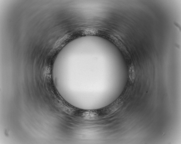 X0000099560714200805301541