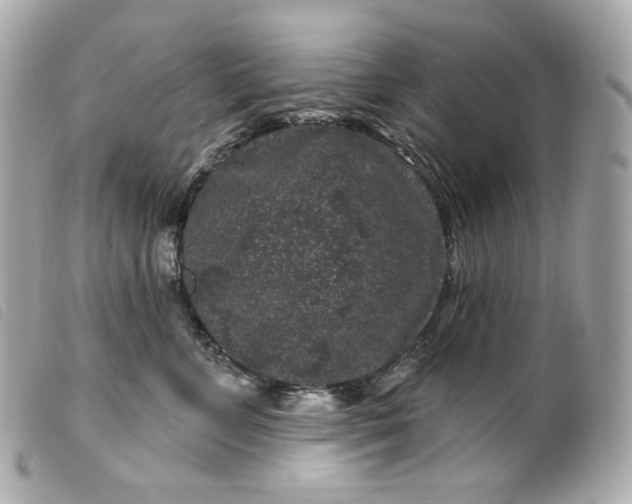 X0000099560715200805301541