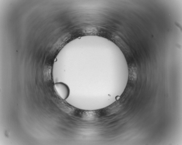 X0000099560717200805301541