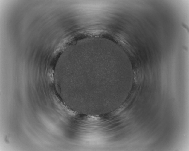 X0000099560718200805301541