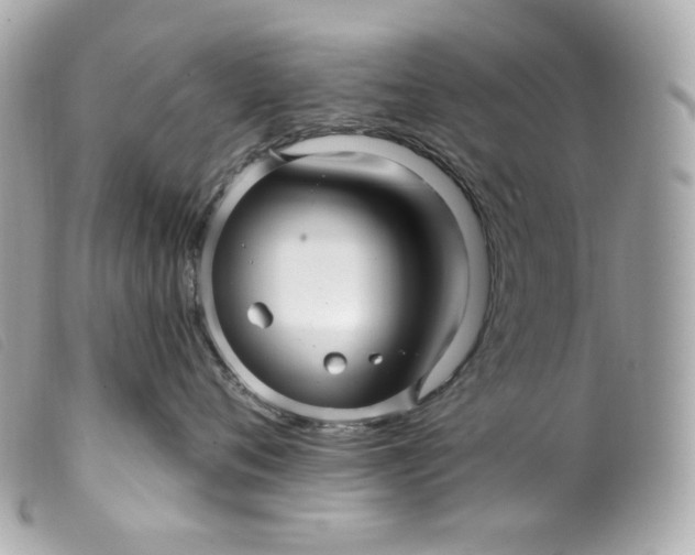 X0000099560720200805301541