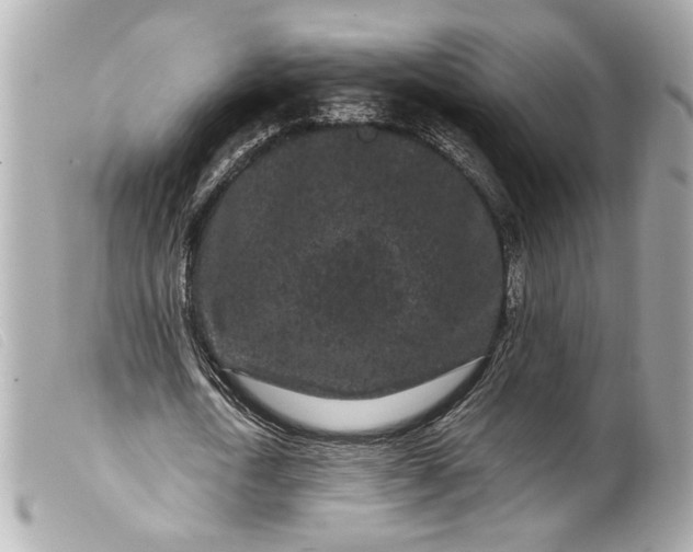 X0000099560722200805301541