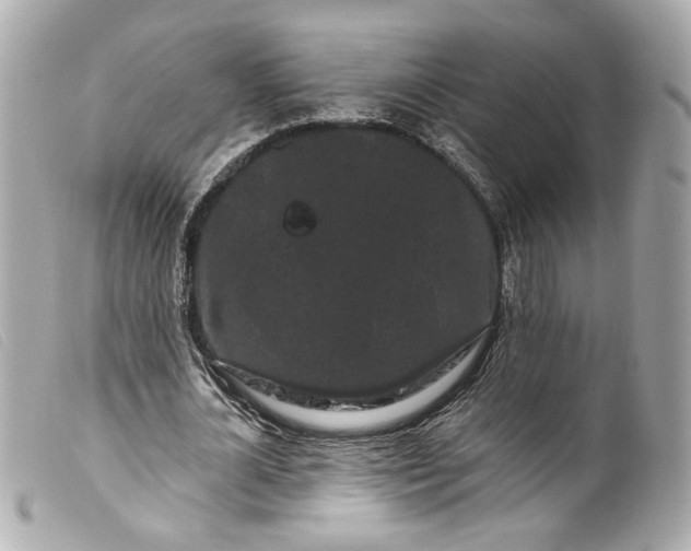 X0000099560724200805301541