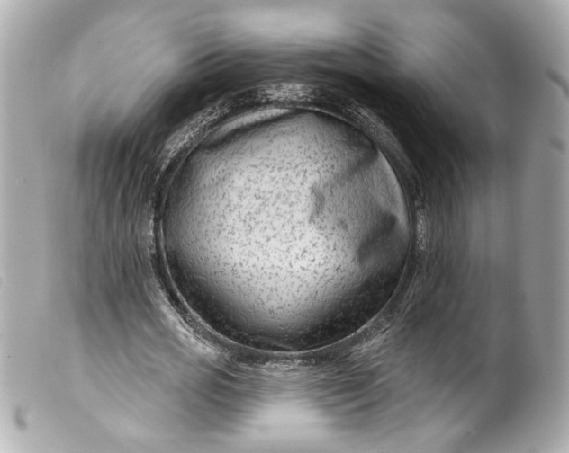 X0000099560725200805301541