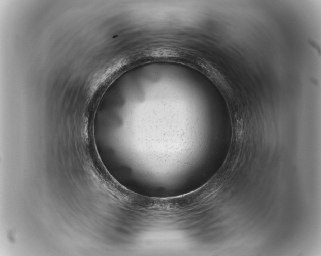 X0000099560727200805301541