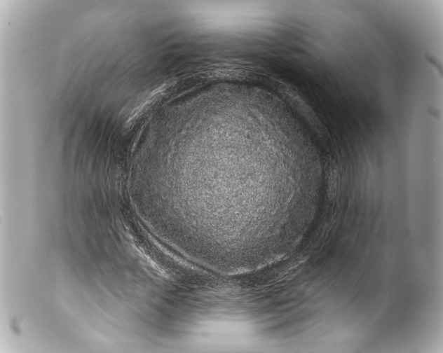 X0000099560729200805301541