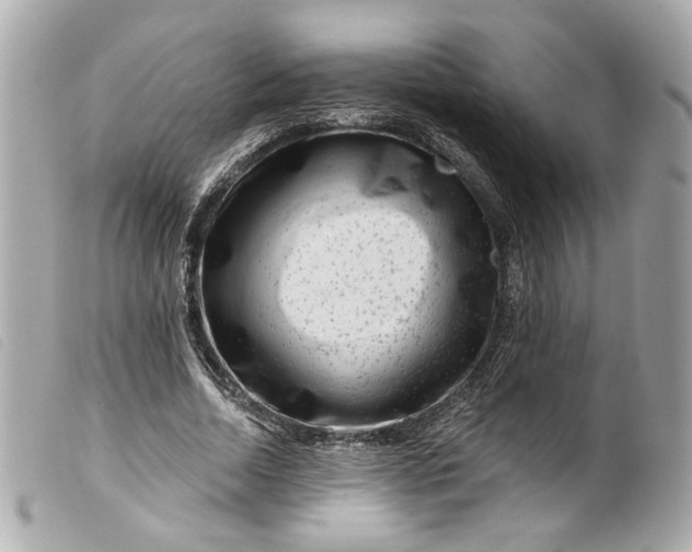 X0000099560730200805301541